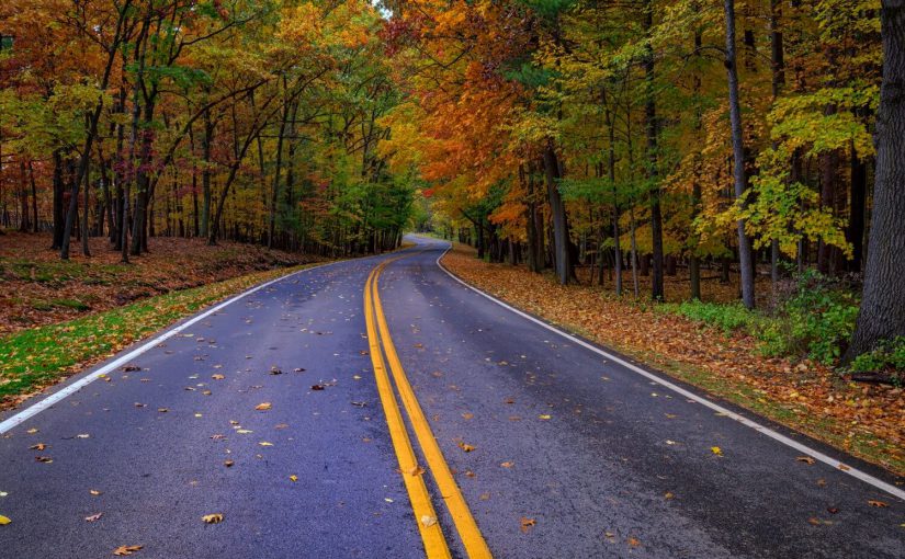 Where to Find the Best Finger Lakes Fall Foliage