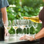 finger lakes wine region