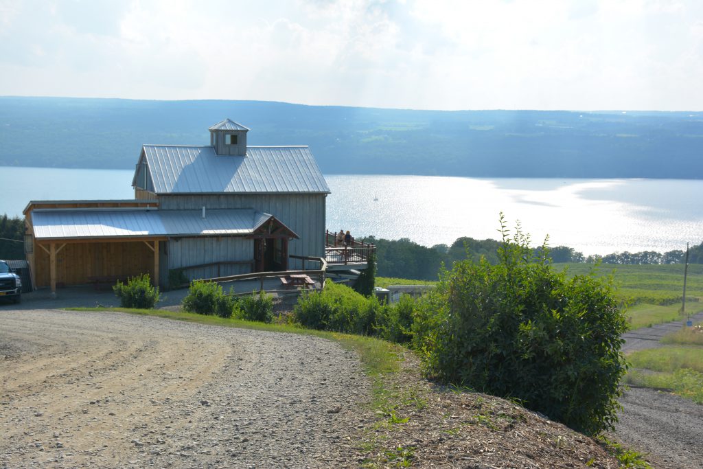 DSC_5430 Finger Lakes Premier Properties Blog