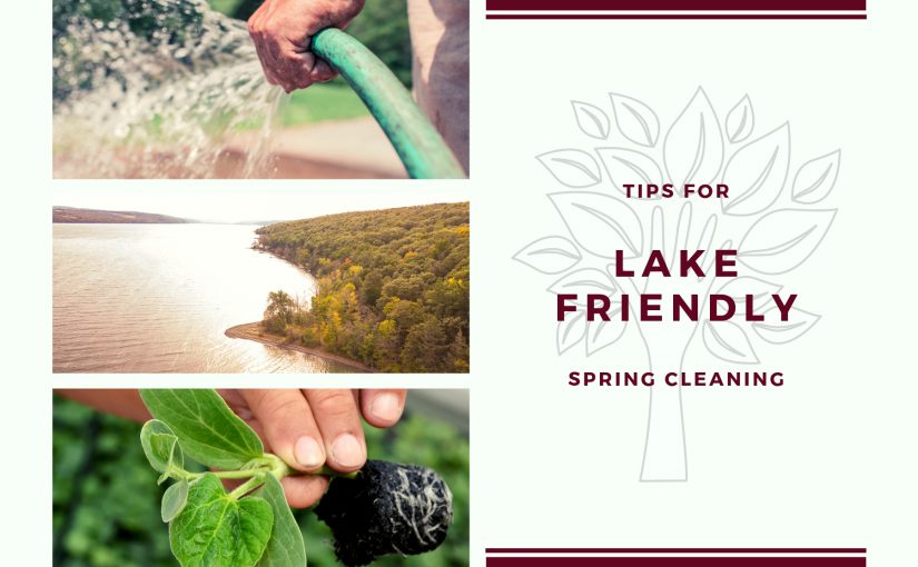 Tips for lake-friendly spring cleaning