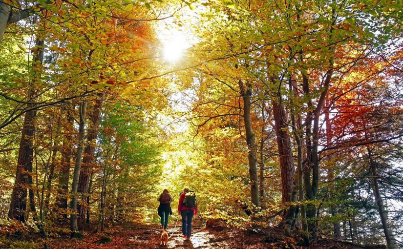 best state parks in the finger lakes region, couple hiking, colorful fall foliage