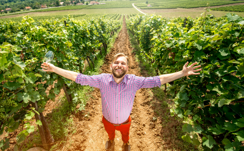 finger lakes wine trails , man in vineyard