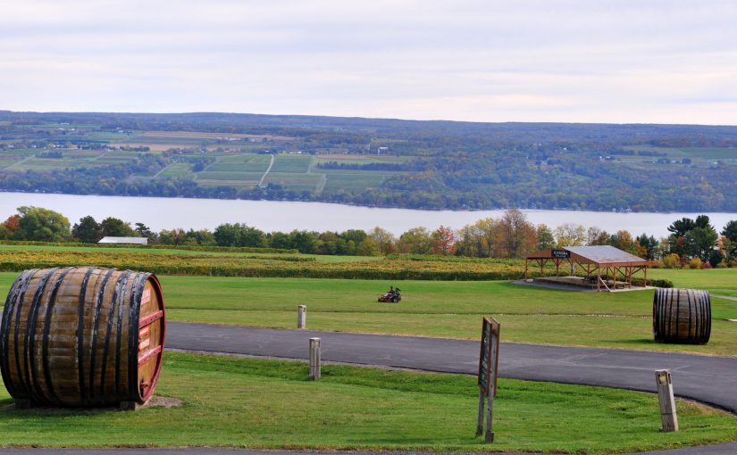 Discover the Top 5 Places for Natural Wine in the Finger Lakes